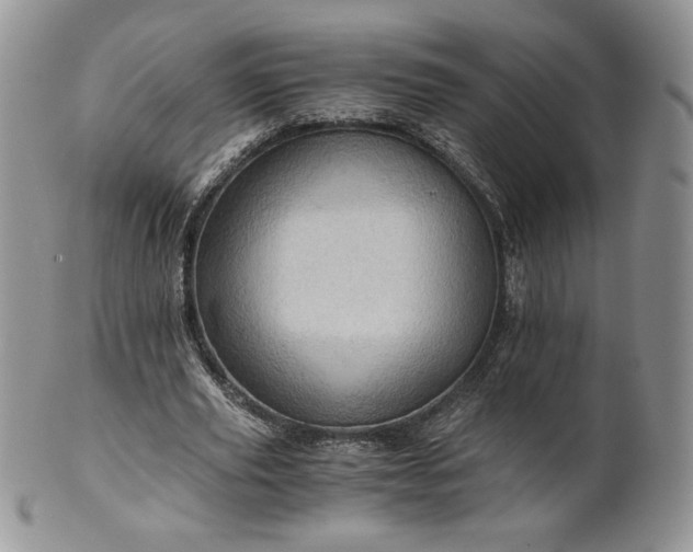 X0000101960629200808011108