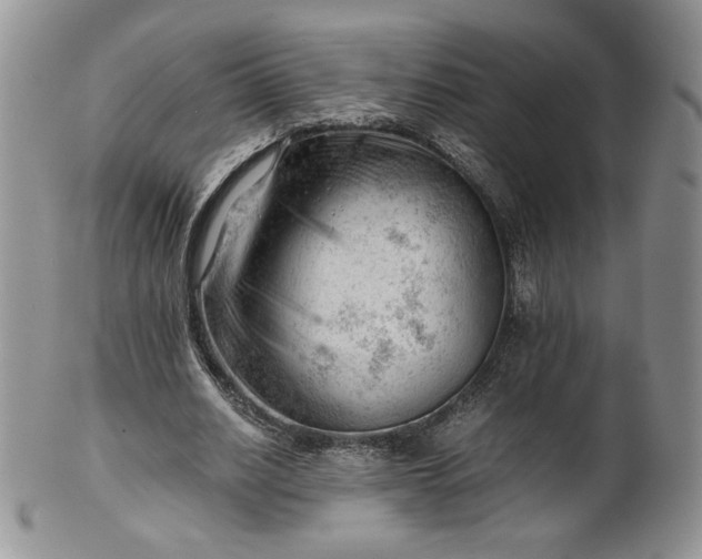 X0000101960630200808011108