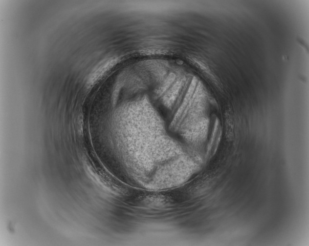 X0000101960631200808011108