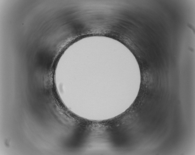 X0000101960632200808011108