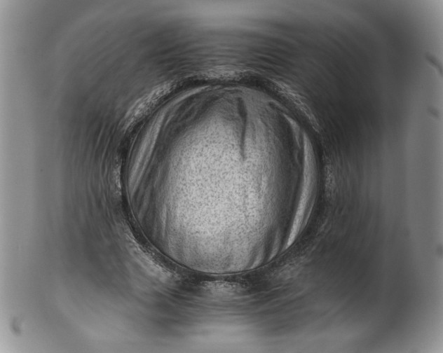 X0000101960633200808011108