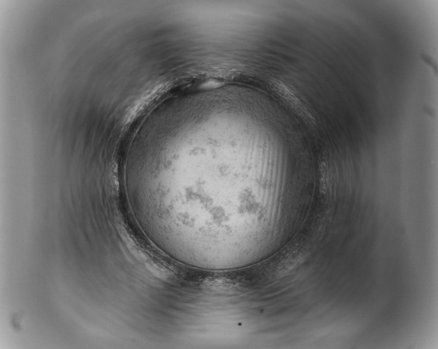 X0000101960634200808011108