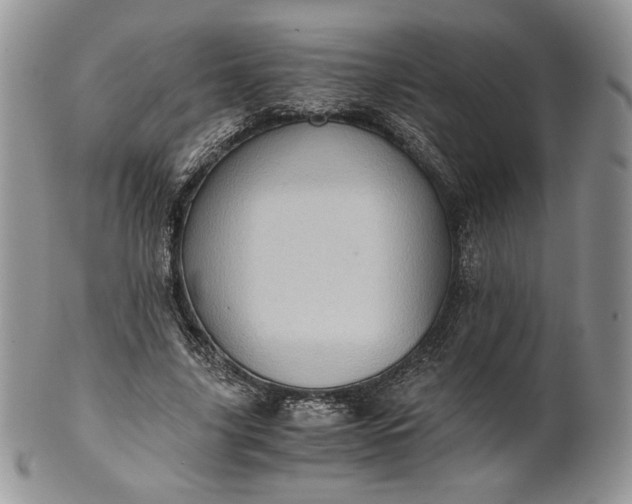 X0000101960635200808011108