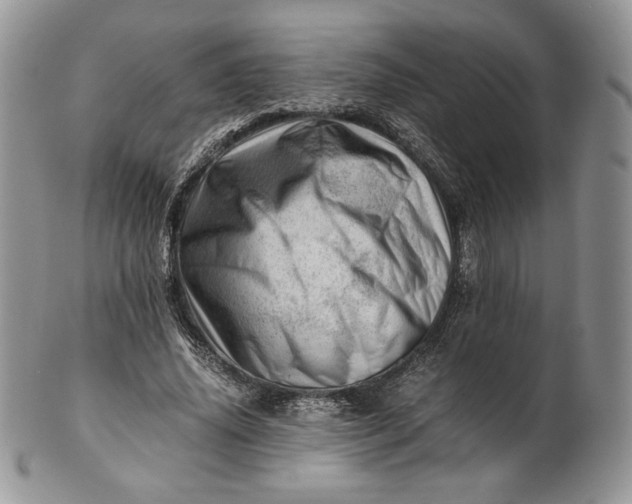 X0000101960636200808011108