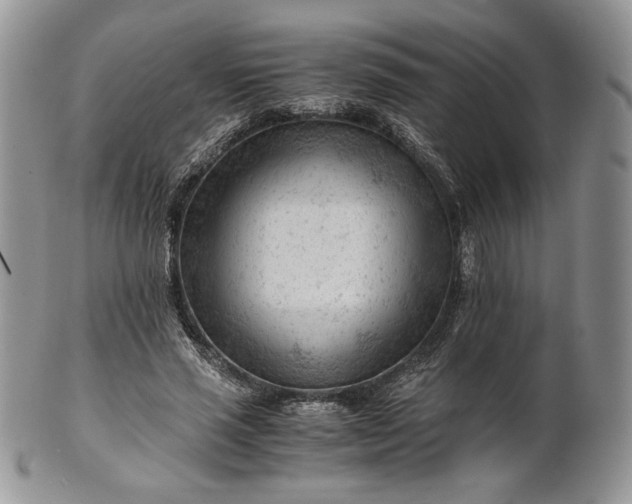 X0000101960637200808011108