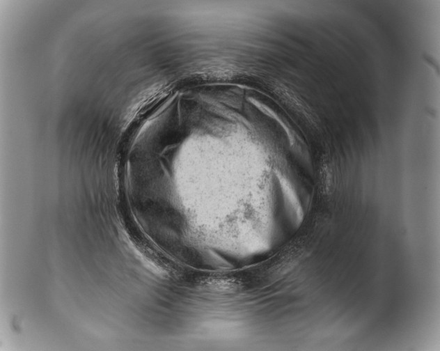 X0000101960638200808011108