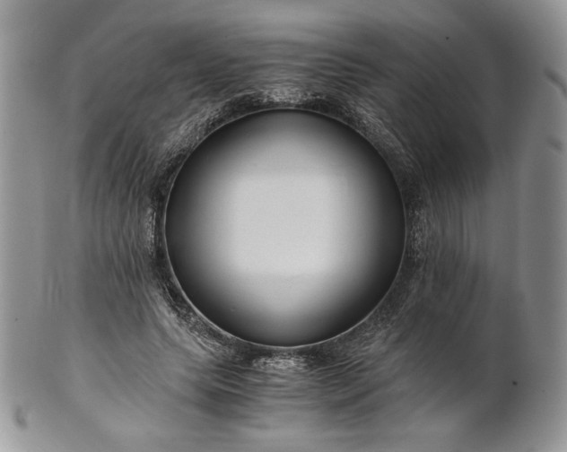 X0000101960639200808011108