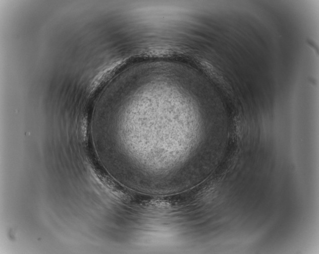 X0000101960640200808011108