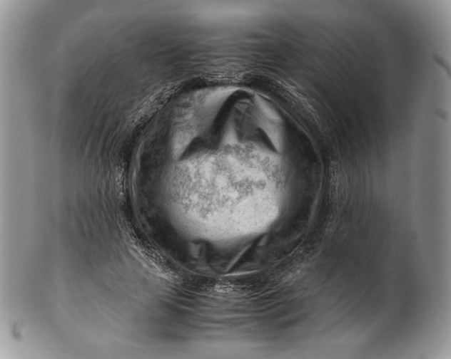 X0000101960641200808011108