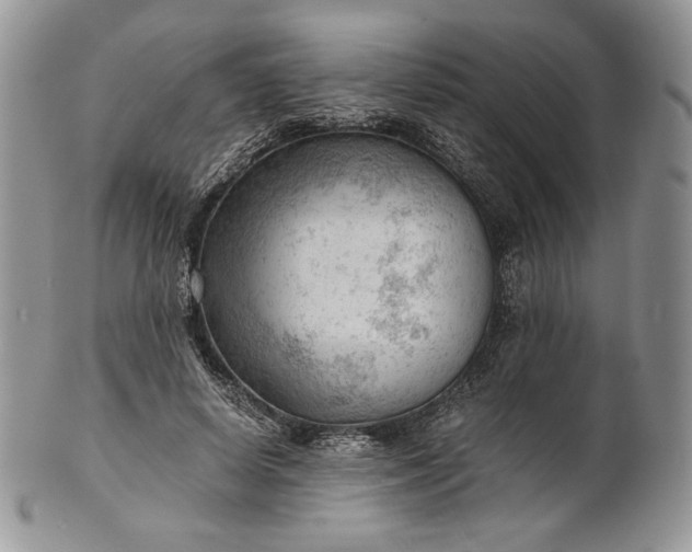 X0000101960642200808011108