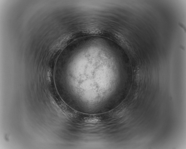 X0000101960643200808011108