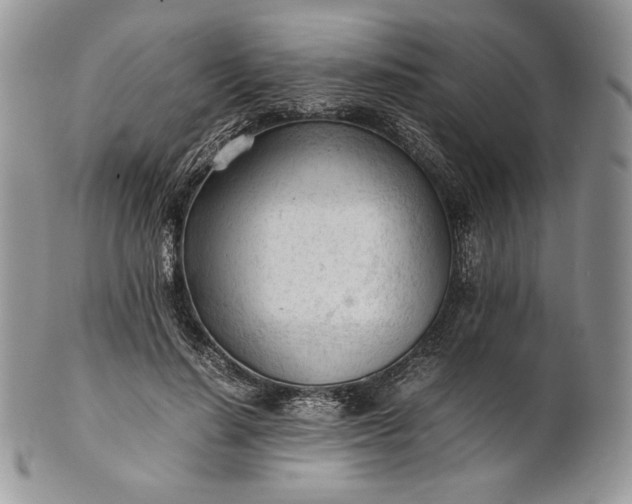 X0000101960644200808011108