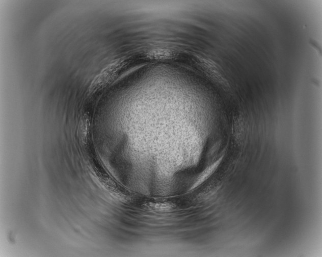 X0000101960645200808011108