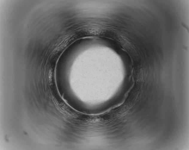 X0000101960646200808011108