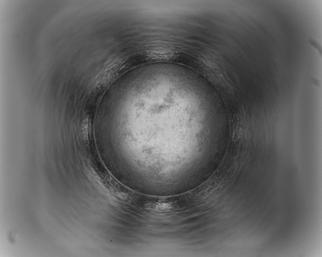 X0000101960647200808011108