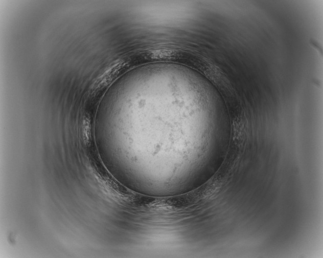 X0000101960648200808011109