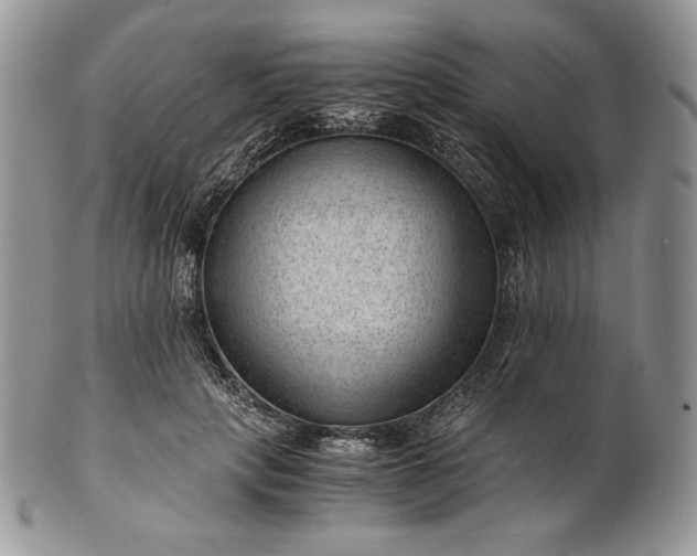 X0000101960649200808011109