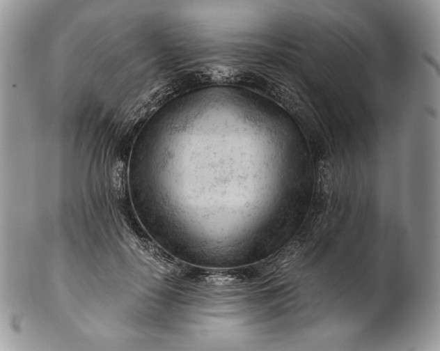 X0000101960650200808011109