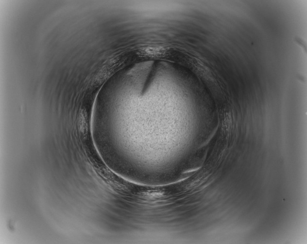 X0000101960651200808011109