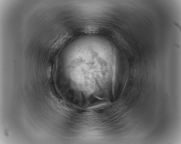 X0000101960652200808011109