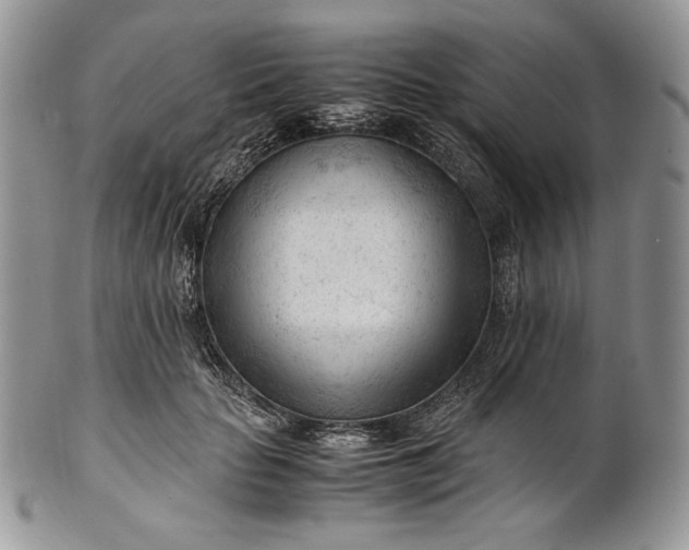 X0000101960653200808011109