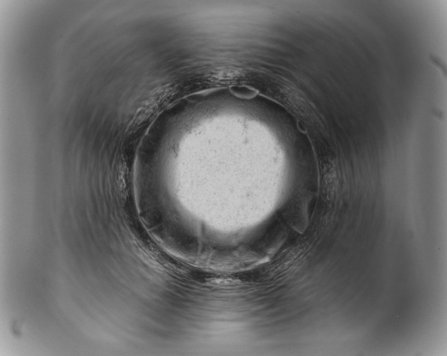 X0000101960654200808011109