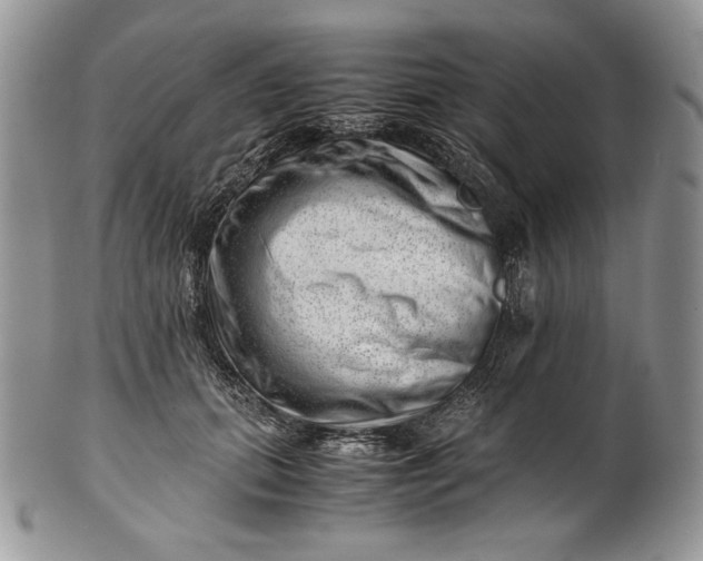 X0000101960655200808011109