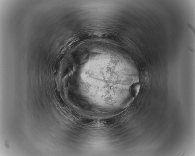 X0000101960656200808011109