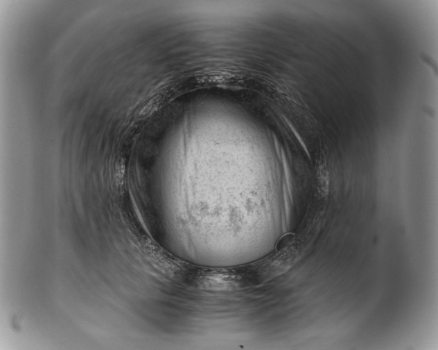 X0000101960657200808011109