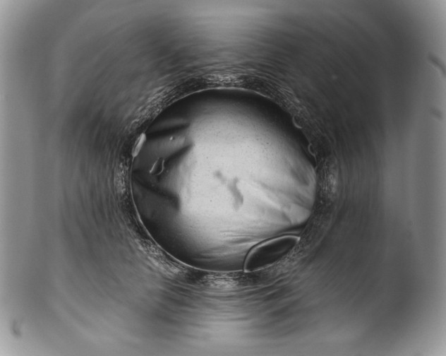 X0000101960658200808011109