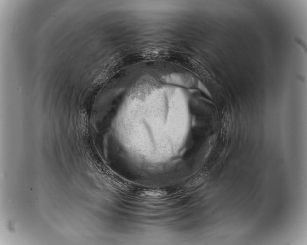 X0000101960659200808011109