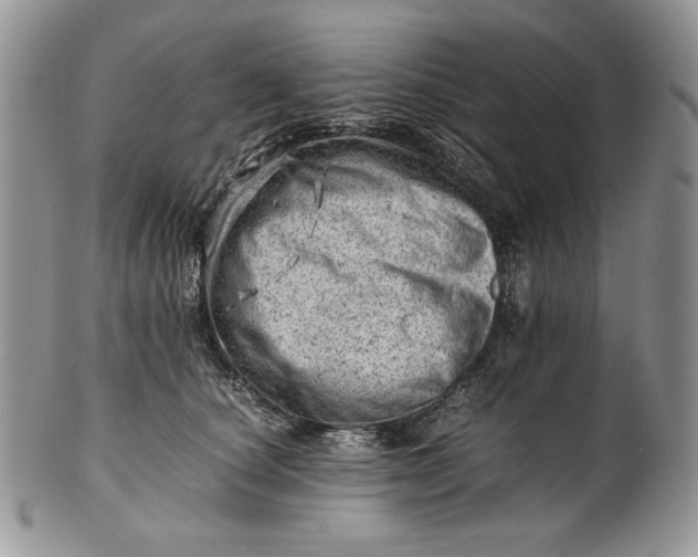 X0000101960660200808011109