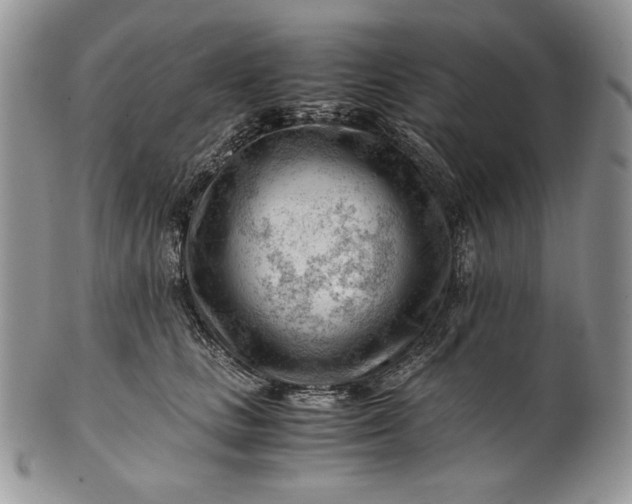 X0000101960661200808011109