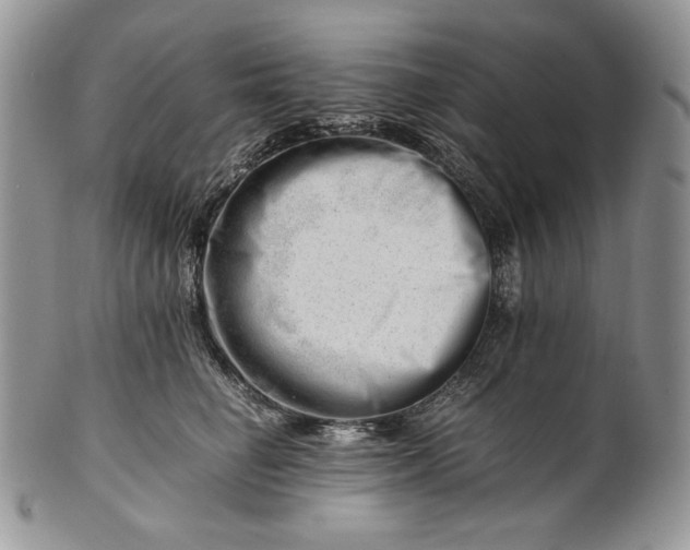 X0000101960662200808011109