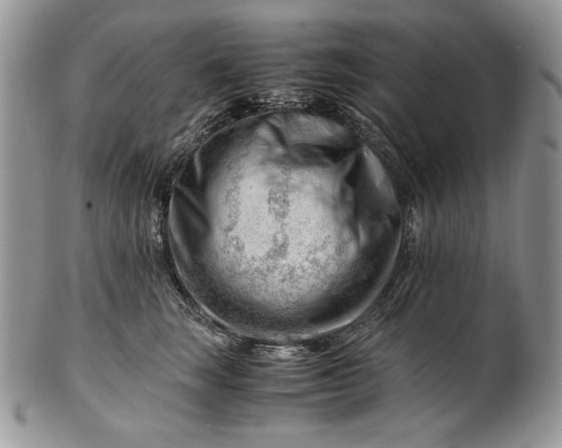 X0000101960663200808011109