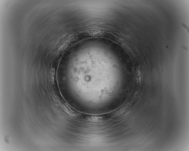 X0000101960664200808011109