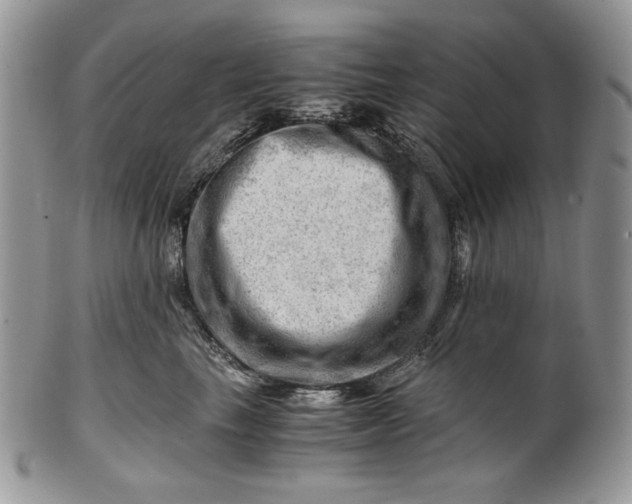 X0000101960665200808011109