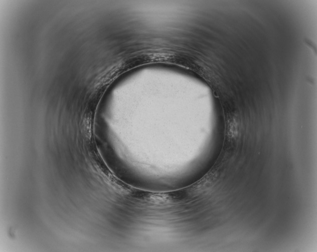 X0000101960666200808011109