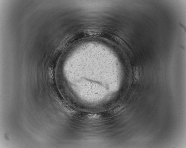 X0000101960667200808011109