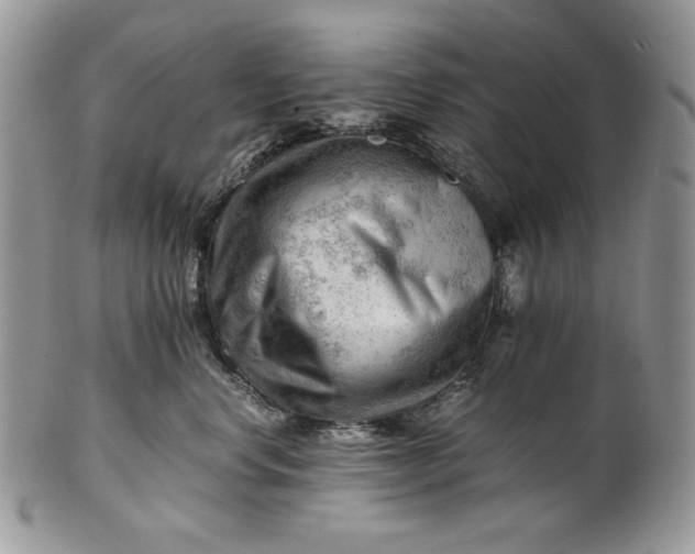 X0000101960668200808011109