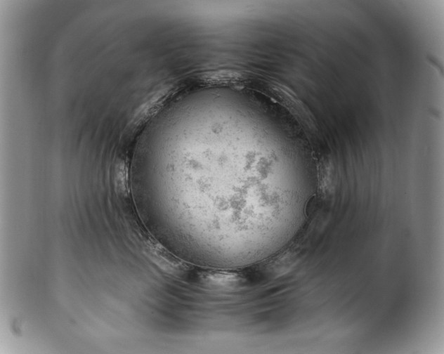 X0000101960669200808011109