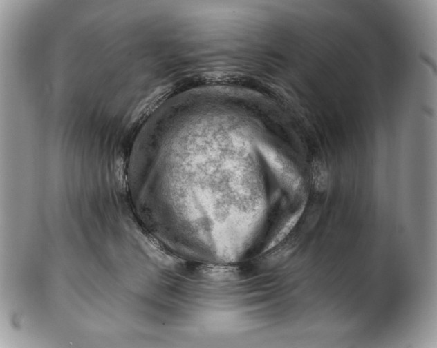 X0000101960670200808011109