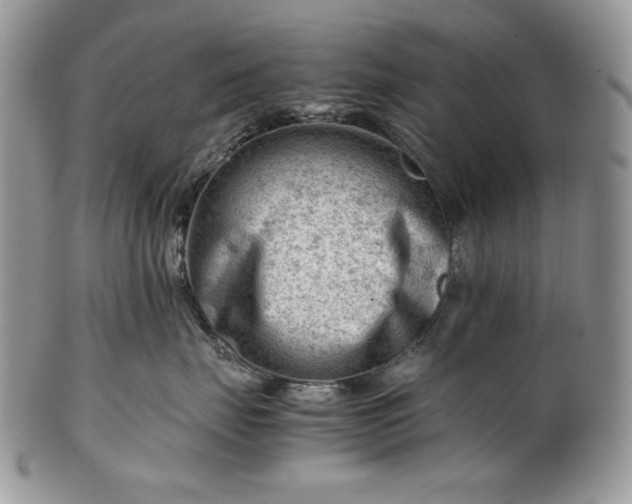 X0000101960671200808011109