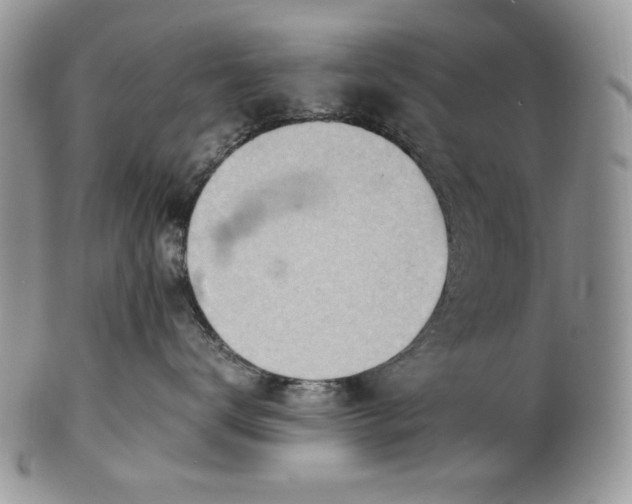 X0000101960672200808011109