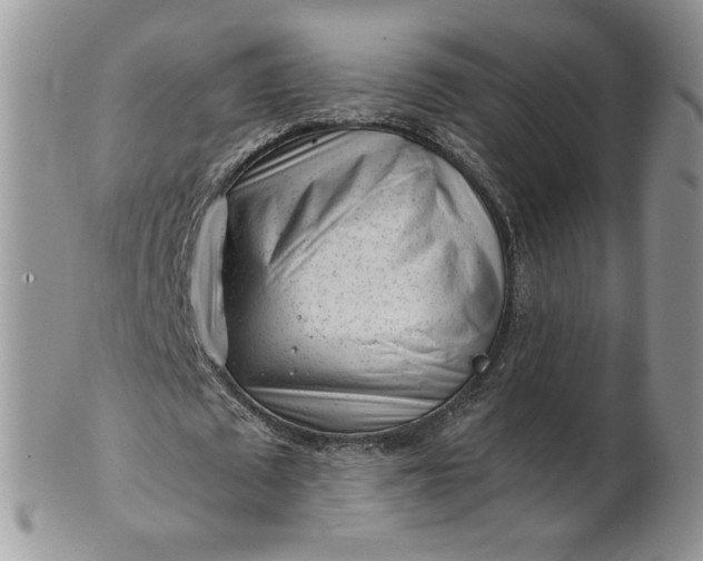 X0000101960673200808011108