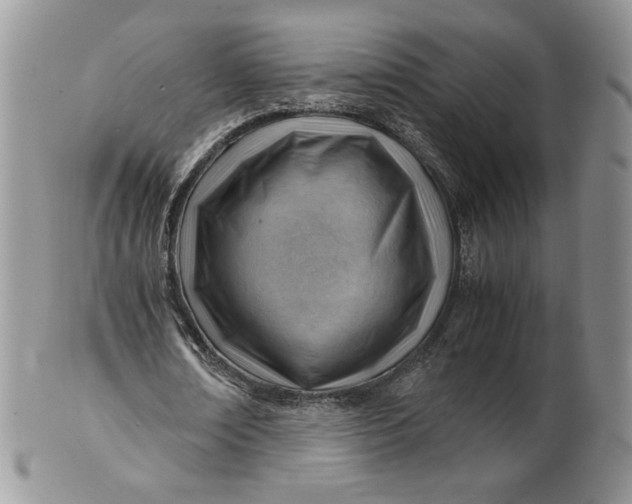 X0000101960674200808011108