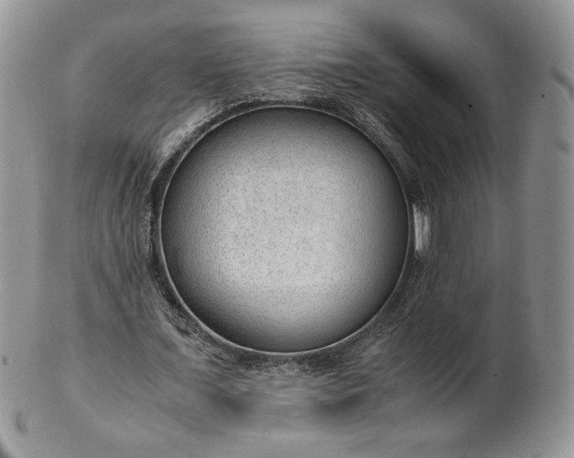 X0000101960675200808011108