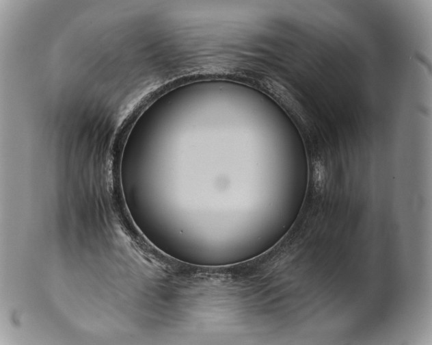 X0000101960676200808011108