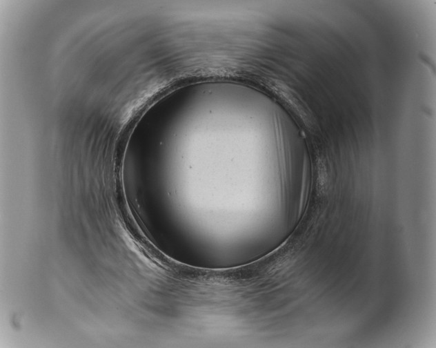 X0000101960677200808011108