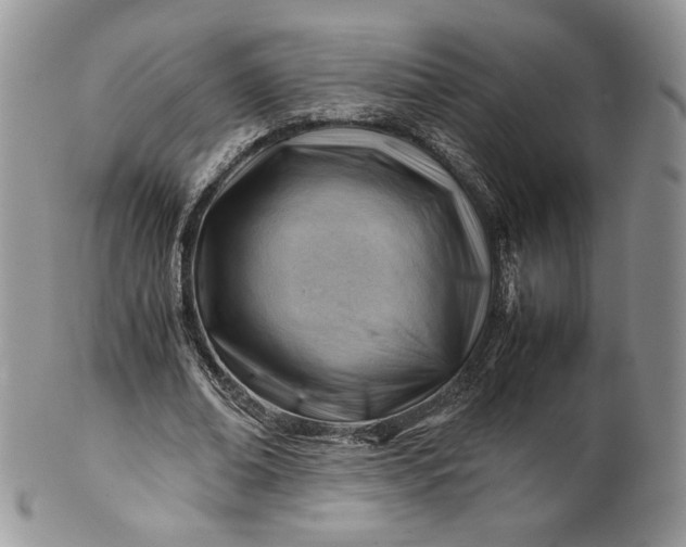 X0000101960678200808011108